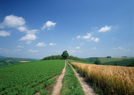 交通工具素材   平坦大道素材