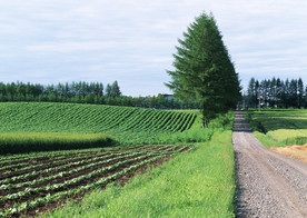 交通工具素材   平坦大道素材