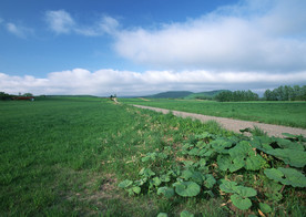 交通工具素材   平坦大道素材