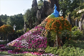 公园里的孔雀雕塑鲜花