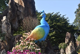 孔雀雕塑和假山