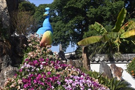 孔雀雕塑与花朵