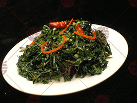 苦菜