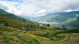 山区梯田景观
