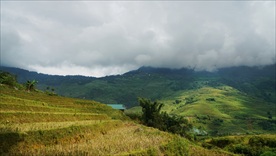 山区梯田景观