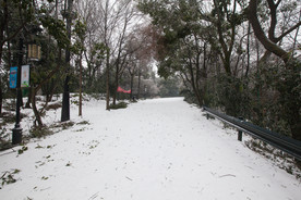 长沙岳麓山雪景