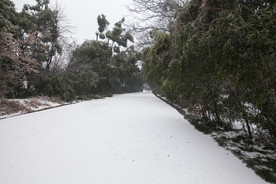 长沙岳麓山雪景
