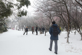 长沙岳麓山雪景
