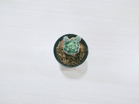 仙人掌