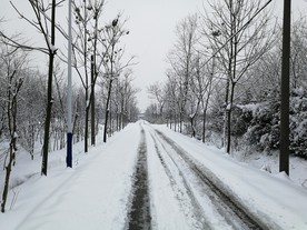路向何方