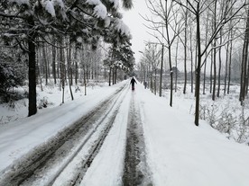 雪中行