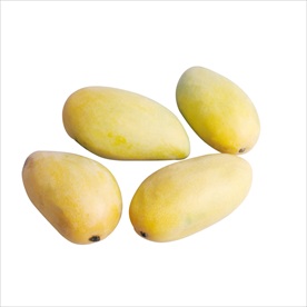 芒果 素材 水果 白底图 水果