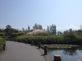 西昌湿地公园