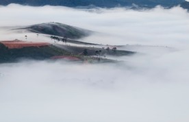 高山云雾美景