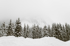 冬天的雪景图片