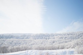 冬天的雪景图片