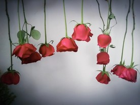干花的制作