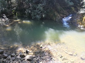 潭水