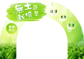 无土栽培蔬菜彩虹卡桥