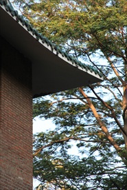 中山大学