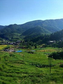 山村