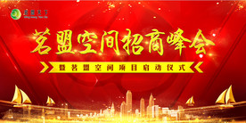会议背景