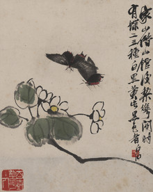 齐白石 昆虫册页
