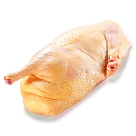 鸭 鸭子 鸭肉 一只鸭  肉