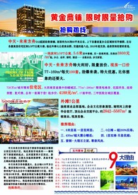 未来方舟宣传单