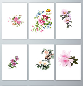 杜鹃花花枝PNG免抠素材