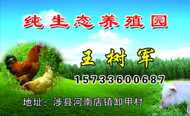 新日 标志 任务 字体 背景