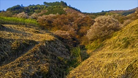 山沟