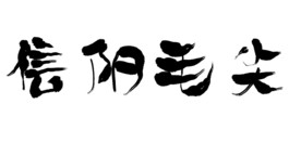 信阳毛尖