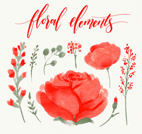 水彩绘红色玫瑰花卉和树叶矢量图