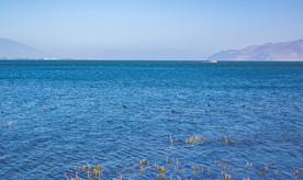 海
