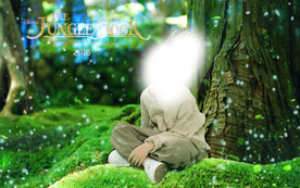 奇幻森林 墙面装饰 阳光树林