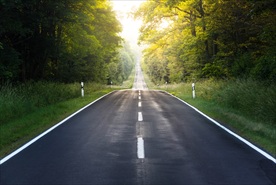 森林道路