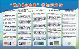 微生物 虫害 等知识宣传