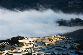 云南山水梯田摄影