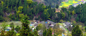 村