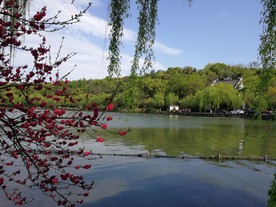 苏堤