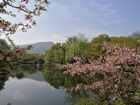 花港观鱼