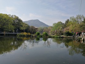 花港观鱼