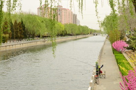 京城春色