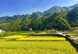 乡村