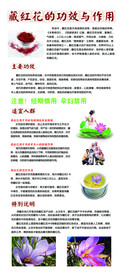 藏红花的功效及作用
