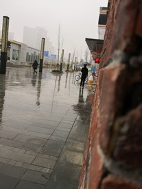 雨中