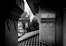 门廊 入口 门 树 幽静 黑白
