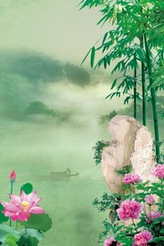 荷花背景