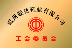 工会委员会铜牌
